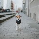 Ein Hund in einem braunen Pullover mit blauem Halsband geht eine mit Gebäuden und geparkten Autos gesäumte Kopfsteinpflasterstraße entlang.