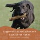 Schwarzer Hund, der mit einem Kaustick im Mund läuft, mit dem Text: 'Kaffeholz-Kaustäbchen mit Lachsöl für Hunde, robust und langlebig.'