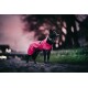 Ein schwarz-grauer Hund, der einen leuchtend pinken Regenmantel trägt, steht auf einem Kopfsteinpflasterweg und schaut zur Seite vor einem verschwommenen, bunten Hintergrund.
