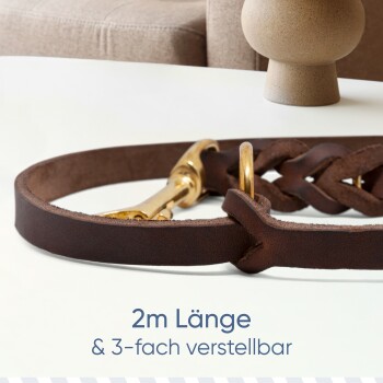 Eine braune Lederhundeleine mit einem goldenen Clip, mit einem geflochtenen Design, auf einer weißen Oberfläche präsentiert. Text lautet "2m Länge & 3-fach verstellbar."