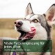 Husky in Nahaufnahme leckt sich die Lippen, bernsteinfarbenes Auge sichtbar; grüner Overlay lautet 'Vitale Futterergänzung für jedes Alter' und zeigt einen englischen Untertitel.
