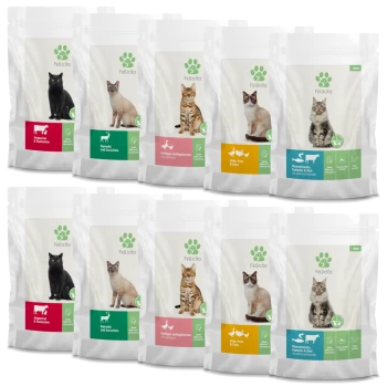 Neun Beutel Katzenfutter der Marke Felicita, mit verschiedenen Geschmacksrichtungen und Zutaten, mit Bildern verschiedener Katzen auf jedem Beutel.