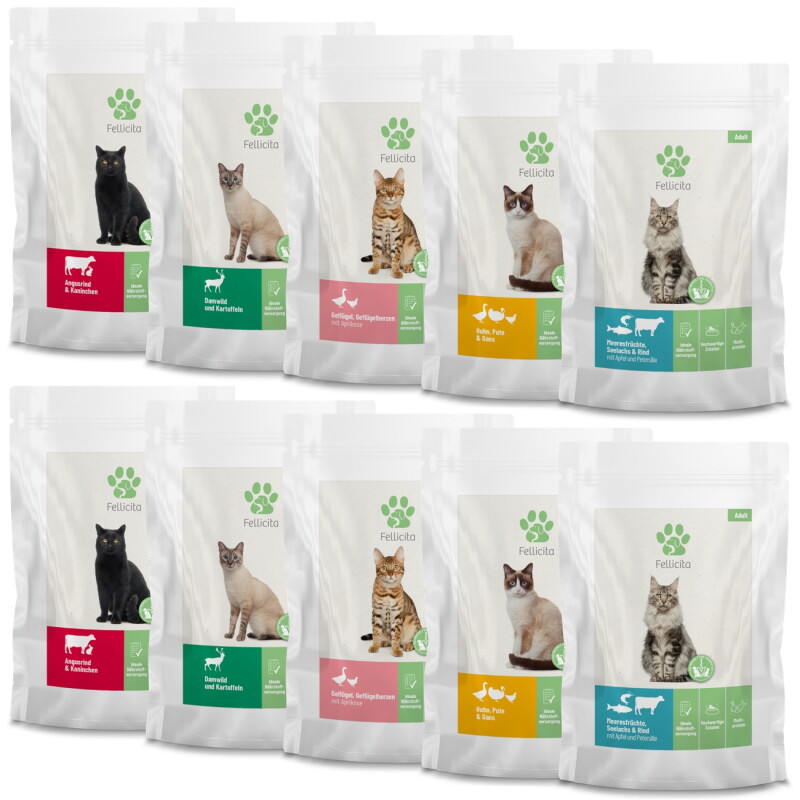Fellicita Multipack 5 Sorten 10x 95 g