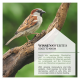 Ein Spatz, der auf einem Ast sitzt, mit einem verschwommenen grünen Hintergrund, begleitet von Text in Deutsch und Englisch über den Rückgang der Nahrungsquellen für Vögel.