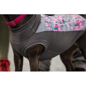 Eine Nahaufnahme eines Hundes, der einen stilvollen, passgenauen grauen Haustiermantel mit floralem Design auf dem Rücken trägt, der einen rosa Kragen zeigt.