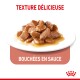 Nourriture pour animaux délicieuse et texturée en sauce, avec des morceaux tendres sur une assiette blanche avec le texte "TEXTURE DÉLICIEUSE" et "BOUCHÉES EN SAUCE."