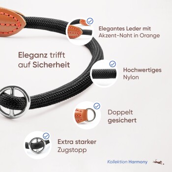 Elegante Hundeleine aus schwarzem Nylon und Leder mit orangefarbenen Nähten, die Sicherheit und Haltbarkeit betont. Der Text enthält Produktmerkmale.