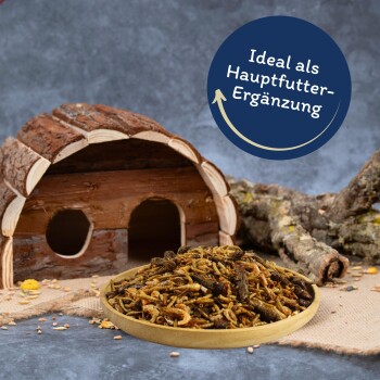 Teller mit getrockneten Insekten vor einem hölzernen Haustierhaus und Holzstämmen mit dem Text „Ideal als Hauptfutter-Ergänzung“ in einem blauen Kreis.
