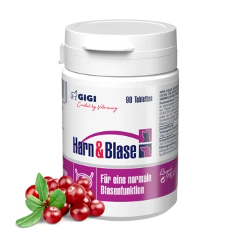 Weißer Behälter mit "Harn & Blase"-Tabletten für Katzen, 90 Stück, mit Cranberries und Blättern, die die normale Blasenfunktion fördern.