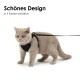 Eine hellgraue Katze, die ein schwarzes Geschirr und eine Leine trägt, steht vor einem weißen Hintergrund. Der Text lautet: 'Schönes Design in 5 Farben erhältlich.'