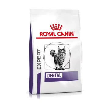 Sac de nourriture pour chats Royal Canin Expert Dental présentant une illustration de chat tigré gris, étiqueté "EXPERT" et "DENTAL" en texte gras.