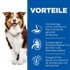 Hundefutteranzeige, die hochwertiges Lamm und Reis für die Verdauung, ausgewogene Mineralien für die Herzgesundheit und Omega-6 für die Haut zeigt.