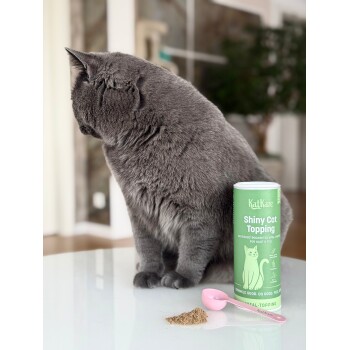 Graue Katze sitzt auf dem Tisch neben einer grünen Dose 'KatKare Shiny Cat Topping', rosa Schaufel und einem Haufen Pulver.