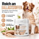 Eine Person streichelt einen entspannten weißen Hund, mit deutschem Textüberlagerung "VON TIEREXPERTEN EMPFOHLEN" über qualitativ hochwertige natürliche Zutaten.