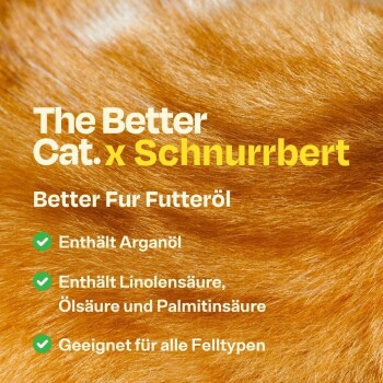Nahaufnahme von orangefarbenem Katzenfell, das das Better Cat x Schnurrbert Better Fur Futteröl zeigt, mit Arganöl für alle Felltypen.