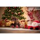 Wolter Rudolph Plush Reindeer 15 cm