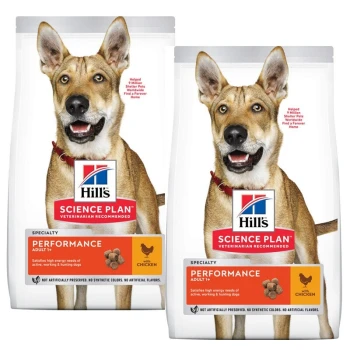 Zwei Säcke Hill's Science Plan Hundefutter, mit der Aufschrift "Performance Adult" mit Hähnchen, die den hohen Energiebedarf für aktive Hunde hervorheben.