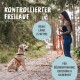 Eine Frau im Wald mit einem Golden Retriever an einer 5-Meter-Leine. Text: 'Kontrollierter Freilauf', 'Ideale Länge (5 Meter)', 'Für Rückruftraining.'