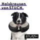 Ein glücklicher Border Collie in einem gepolsterten Halsband, mit "Halskrausen von STUCH" oben und dem STUCH-Logo unten.