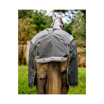 Ein graues Pferd, das eine Amigo-Marke Pferde-Decke trägt, mit buntem Rand, steht in einem grasbewachsenen Bereich und schaut von der Kamera weg.