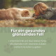 Packung mit ALPHAZOO Bierhefe-Tabletten für Haustiere, die die Immunität fördern und Vitamine B, Folsäure und Biotin enthalten.