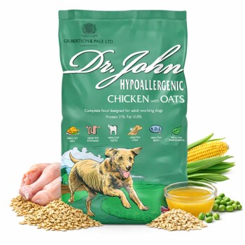 Grüne Tüte mit Dr. John hypoallergenem Hundefutter mit Huhn und Hafer, mit einer Illustration eines rennenden Hundes, 21% Protein, 10,5% Fett, für empfindliche Mägen.