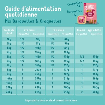 Guide d'alimentation quotidienne pour chiots, indiquant les portions de barquettes et croquettes selon le poids et l'âge.