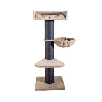 RHR Quality Kratzbaum Royalty LX1