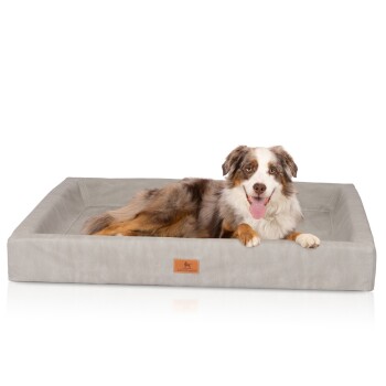 orthopädisches Hundebett Austin aus Kunstleder grau XXL