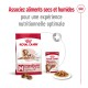 Emballage de nourriture pour chiens Royal Canin présentant des options de nourriture sèche et humide pour les chiens de taille moyenne âgés de 10 ans et plus, promouvant une nutrition optimale.