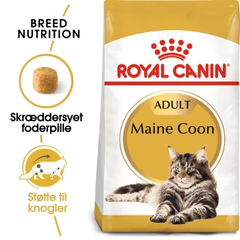Royal Canin Adult Maine Coon Katzenfutterbeutel mit einem Bild einer Maine Coon Katze, mit Text, der die Ernährungsbedürfnisse der Rasse und die Unterstützung der Gelenke hervorhebt.