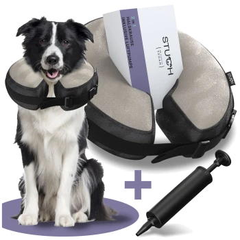 Ein schwarz-weißer Border Collie in einem aufblasbaren Halskragen neben einem Paket "2 in 1 Halskrause inklusive Luftpumpe" und einer schwarzen Pumpe.