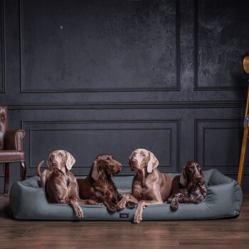 Tierlando® Premium Visco-Memory-Schaum-Hundebett-Schichten, die Dicke und Materialien zeigen: M-L (6 cm) und XL-XXXL (9 cm) mit detaillierter Zusammensetzung.