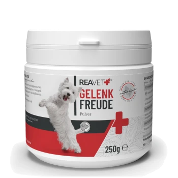 Behälter mit REAVET Gelenk Freude Pulver für Hunde, mit einem verspielten weißen Hund auf dem Etikett, mit einem Nettogewicht von 250 g.