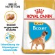 Royal Canin Boxer Welpenfutterbeutel mit einer Illustration eines Boxer-Welpen, mit Text, der rassespezifische Ernährung und Immunsupport hervorhebt.