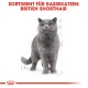Eine selbstbewusste graue Britisch Kurzhaar Katze mit bernsteinfarbenen Augen steht vor einem weißen Hintergrund, mit dem Text darüber: "SORTIMENT FÜR RASSEKATZEN."