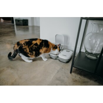 Cat Mate: innovative Futter- & Trinkautomaten