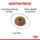Croquettes pour animaux mettant en avant des caractéristiques : "Nutrition Précise", "Mélange de fibres optimal", "Teneur en protéines ajustée", et "L-carnitine."