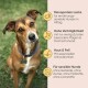 Dosen-Hundefutter mit der Aufschrift "Lachs und Kartoffel" von Milo & Mia, mit Lachs und Kartoffeln, mit Symbolen für Immunbooster und Verdauungsgesundheit.