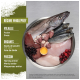 Un bol en acier inoxydable rempli de diverses viandes crues, y compris des poissons entiers, des organes de poulet et de dinde, et des baies, étiqueté "Régime Wholeprey."