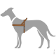Illustration eines grauen Hundes mit einem braunen Geschirr, das das Design und die Passform des Geschirrs am Körper des Hundes zeigt.