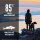 Croquettes chien Six Fish 11,4 kg