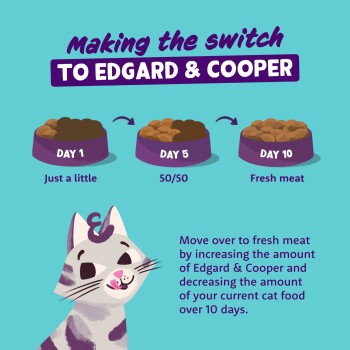 Making the switch TO EDGARD & COOPER — three bowls: Day 1 "Just a little", Day 5 "50/50", Day 10 "Fresh meat", with a smiling cat.