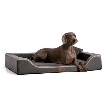 Ein brauner Hund, der auf einem stilvollen grauen Haustierbett mit plüschigem Innenraum und einem Holzschild mit der Aufschrift "Pet Bed" entspannt.