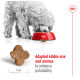 A fluffy gray dog eats from a red bowl of kibble, with a highlighted piece in front. Text: "Adapted kibble size and aromas for palatability."