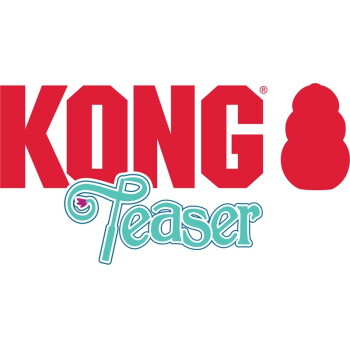 Logo KONG: duży czerwony napis 'KONG' z czerwoną sylwetką zabawki po prawej i turkusowym napisem 'Teaser' poniżej.