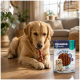 Golden retriever chewing a twisted treat next to a bag labeled "PREMIERE I ♥ my dog Chew Snack Rolls."