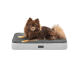 Ein flauschiger brauner Pomeranian-Hund, der auf einem plüschigen, grauen Haustierbett mit einem Diamantmuster ruht, das ein kleines "lionto"-Logo trägt.