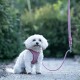 Kleiner weißer Hund mit rosa Geschirr und Leine sitzt auf einem gepflasterten Weg mit Grün im Hintergrund.