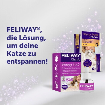 Lila FELIWAY Classic Box und Flasche sowie Happy Snack-Beutel; sichtbar 'FELIWAY' und deutscher Slogan zum Beruhigen einer Katze.